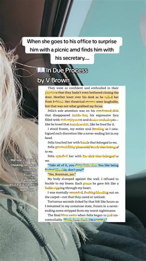 Stella   Curtis ♡ This is chapter **SOME spoilers Felix cheats on his wife and ahe catches him. There is multiple pov's and Felix is not her hea. Will not spoil the revenge ♡ #standaloneromance #angstyromancereads #grovelingtropebooks #booktoker #betrayal -New Book -Indie Author -Love Triangle-ish -Marriage in trouble -Betrayal -Angst and Grovel -Revenge -Cheating (on page) -Some OWD