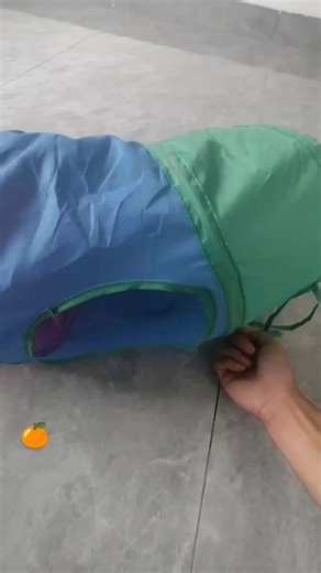 #tiktok #fyp #foryoupage #chat #animals