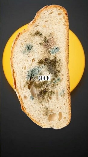 NEVER Eat Moldy Bread or Cheese