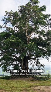 Serenity at Century Tree Highlands 🌿 | Libot CamSur