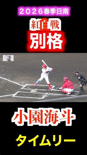 【別格です】小園海斗タイムリー！紅白戦第２ラウンド！【２０２６広島東洋カープ春季日南キャンプ】＃小園海斗 広島東洋カープ ＃春季キャンプ