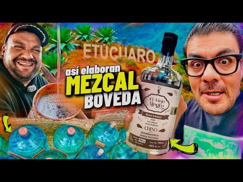 así elaboran el MEZCAL ARTESANAL en BÓVEDA El Viejo Alegre de Etucuaro 🇲🇽