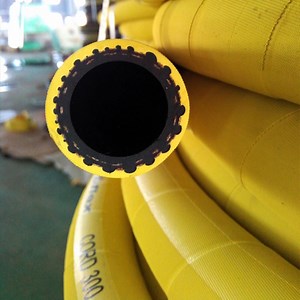 [Hot Item] Wp 20bar 300psi Nylon Braided High Pressure Rubber Air Hose