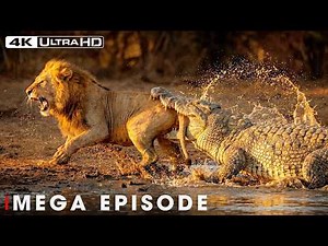 The Savanna's Deadliest Hour: Lions, Cheetahs, and the Fight to Survive | Full Episode