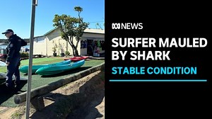 Man suffers serious leg injury in a shark attack in northern NSW