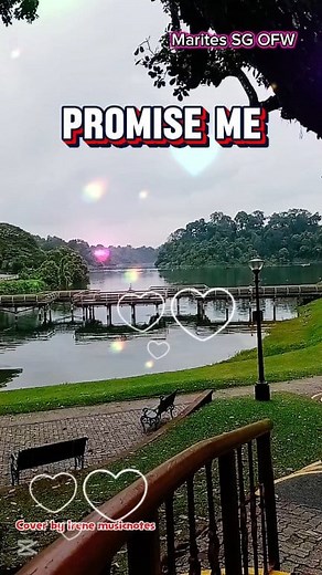 🌺Promise Me with Lyrics Cover by Irene Music Notes #promise #oldsongs #oldies #oldiesmusic #oldiesbutgoodies DISCLAIMER: I hereby declare that I do not own the rights to this music/song. All rights belong to the owner. Thank you for Watching God Bless | Marites sg Ofw