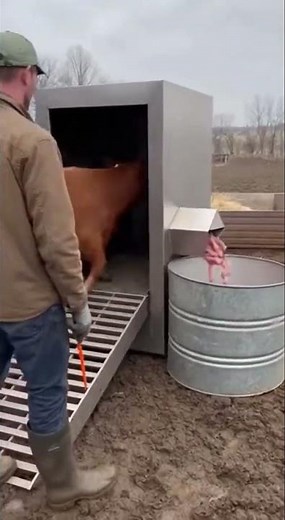 A Step-by-Step Look at Food Manufacturing