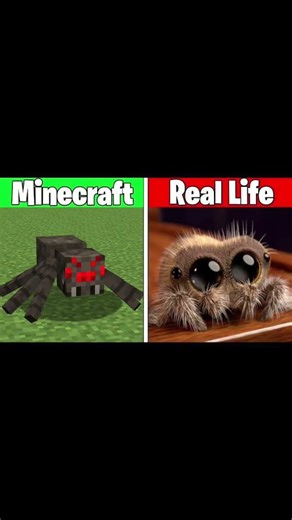 minecraft vs real life 😜😜#minecraft#tondaegamer#tondaegamer#minecraftmods#trading#gaming#viral
