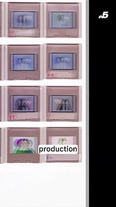 UT just received SNL creator Lorne Michaels’ lifetime collection of papers to archive, showcasing the creation of the iconic show and the legends who have been part of it. To see the full story head to nbcdfw.com ! #SNL50 #history #archive | NBC DFW