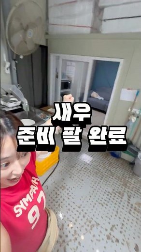 수족관 청소 브이로그 #생새우 #왕새우 #shrimp #vlog