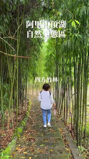 阿里山有個地方叫《頂湖》你有去過嗎？2024年10月18日