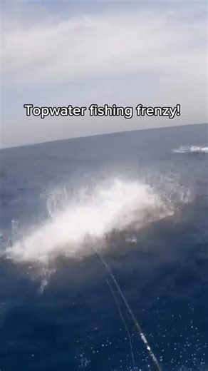 Raw game-fishing on Instagram: "Buying your first boat? 🎣🚤 The engine you choose is everything. It decides where you can go, what species you can target, and whether your day ends with trophy fish… or a long, painful limp back to the harbour. Most new anglers look only at horsepower — but the type of engine matters just as much. Two-stroke vs four-stroke, single vs twin setup, displacement, torque curves, fuel burn, and reliability in rough seas… these are the real game-changers. If you’re cha