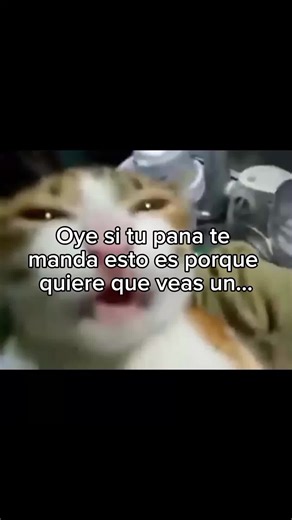 Tutorial sobre el libro 'Hamilton'