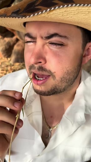 Wicho es como un perru, si oye pero no entiende! #fyp#viral#trending | don silverio y wicho el diablo