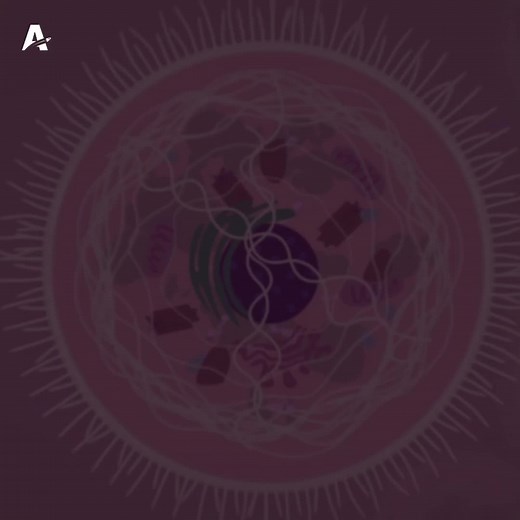 الخلية 🦠 ٫ اساس كل الكائنات الحية #الخلية #cell #الخلايا #الاحياء #بايولوجي #biology #4u #spacetok #viraltiktok #nasa #space #chemistry #atm_torr# #uinverse #foryourpage #viral #physics #mathematics #foryou #معا_لفضاء_عربي #math #fyp