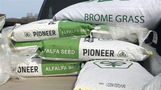 Two companies - Bayer and Corteva - own thousands of patents related to seeds