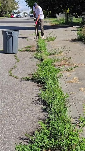 Lawn Mowing Tips & Tricks for Perfect Lawn Care