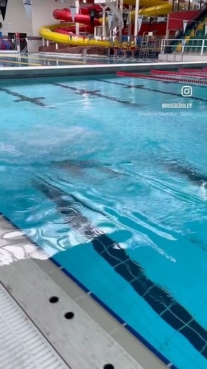 23K views · 187 reactions | BUNGEE GAINZ w/ Spartan swim sis Lauren...