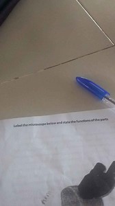 Label the microscope below and state the functions of the parts... | Filo
