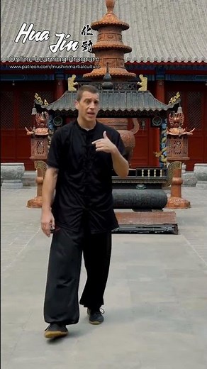 Snake Style Kung-Fu - Coiling & Uncoiling🐍