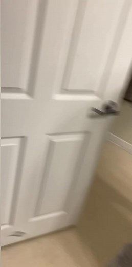 The highlights of scaring my roommate @sydnieyoung728 . #fyp #foryou #foryoupage #scare #scareprank #prank #scaring #scaringpeople #scary #scarecam #scared #pranks #prankwars #college