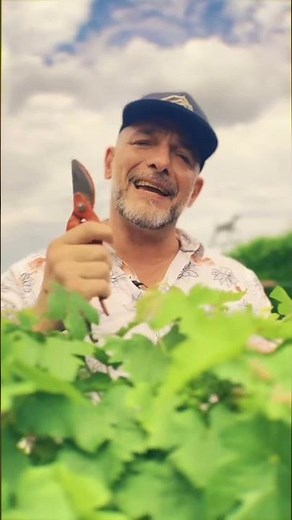 Wazoo en concert à Saint-Lyphard (44) samedi 6 juillet pour le #festival la Nocturne #concert