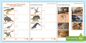 Dinosaurs and Their Fossils Cut and Stick Matching Activity