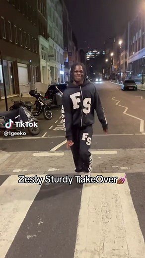 Zesty Sturdy Dance Tutorial for Beginners