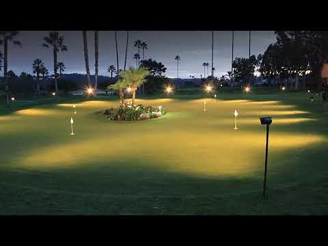 Illumicup by UNIQUE (IN STOCK)