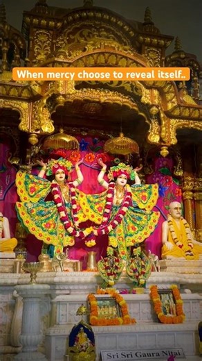 Divine Darshan | Mercy of GauraNitai 🌿