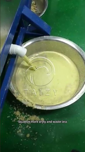 Double Juice Extractor | Ginger Juice Making Machine