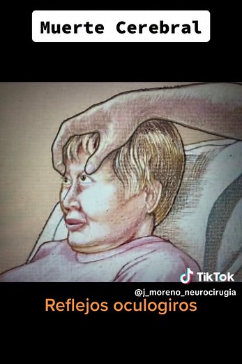 Neuroacademy on TikTok