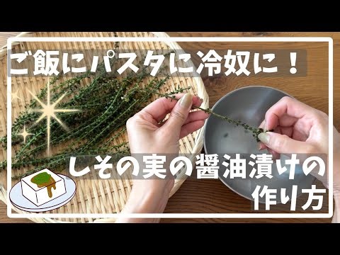 #136 【絶品】しその実の醤油漬けのつくり方