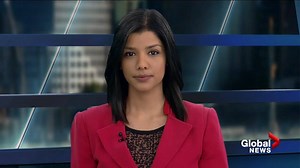 17K views · 30 reactions | With the COVID-19 outbreak more people are attending virtual meetings from home. Tech expert Mike Agerbo shares some tricks on improving your Zoom video calls. | Global BC | Facebook