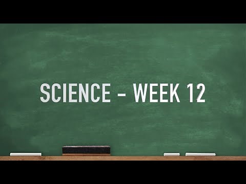CC Cycle 2 Week 12 Science