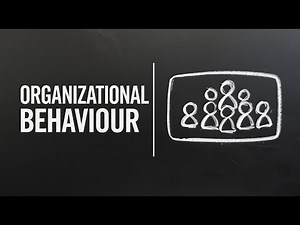 Organizational Behavior Explained Simply