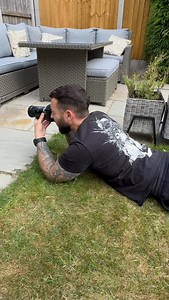 254K views · 72K reactions | IMMA BEE  Photographing bees in my Garden as they take pollen from the lavender, is my favourite pastime! #bees #savethebees #biodiversity #insects #insecta #reelinstagram #reel #trending #réel #reelitfeelit #macrophotography #omsystemcameras #bee #beehappy #cute | Pbmacro | Facebook