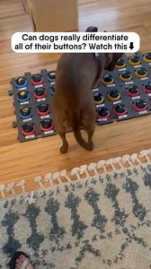 463K views · 3.4K reactions | Stella accidentally hit the re-record...