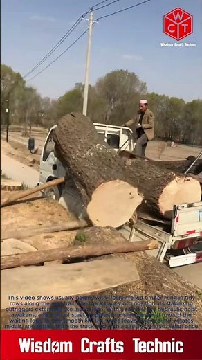Small Scale Forestry: Loading Tree Trunks with a Truck-Mounted Hoist