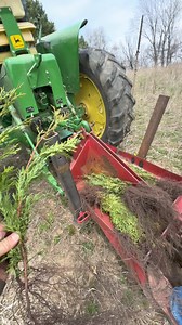 72K views · 155 reactions | Putting together a solid strategy on planting and placing trees can positively impact your whitetail habitat in a huge way. From thermal cover and wind breaks to bedding cells and even new food sources. Take into account what the purpose you’re trying to achieve is, choose your tree varieties accordingly and watch em grow! : @bluffcountryoutdoors | The Deer Society | Facebook