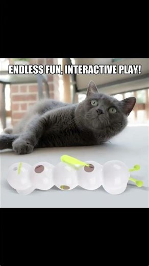 Watch Your Cat Go CRAZY for This Caterpillar Toy!