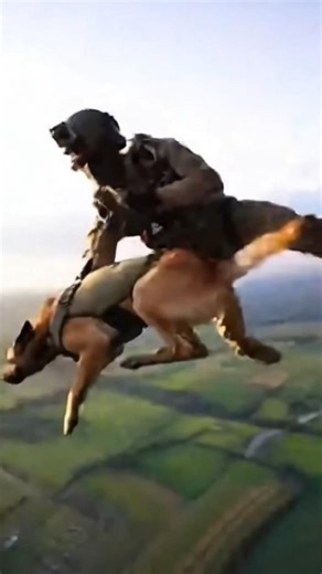 Elite K9 vs Threat | Tactical Dog Action🐕‍🦺🔥 #k9 #k9training #malinois #viral #k9unit #wildlife