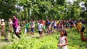 Disturbing video shows the moment an endangered elephant's corpse is being dragged through the lanes of a village in eastern India after it was apparently electrocuted. | Storytrender