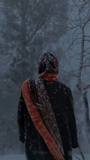 Enjoying the Beauty of Live Snowfall