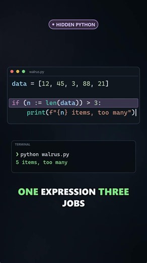 Python's Walrus Operator := in Under 40 Seconds
