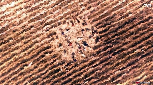 Genesis Capitulo 163 en español