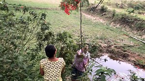 14K views · 832 reactions | Why are Mog people doing “Pocho Pajacha” (Village Puja)? Explained by Kranio Mog Chowdhury | MOG TV | Facebook