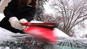 2.8K views · 49 reactions | Park Less, Play More… It’s a Mammoth...