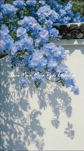 Kitab✨ (Female Version) || Aesthetic || Lyrics || #viral #trending #lyrics #kitab