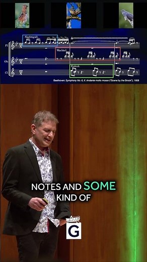 Beethoven's Secret Bird Collaborators #music #animals #birdsong